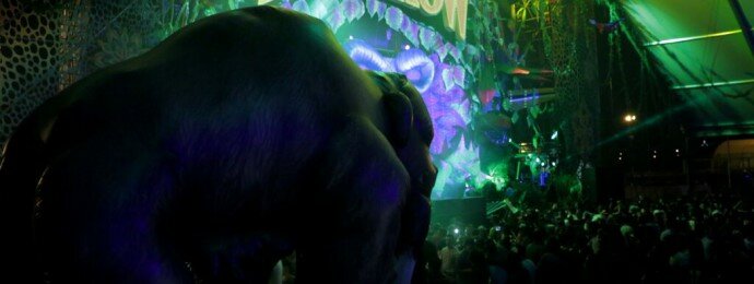 Elrow (Agencia Almozara)-1